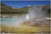 04 - Yellowstone NP (48)